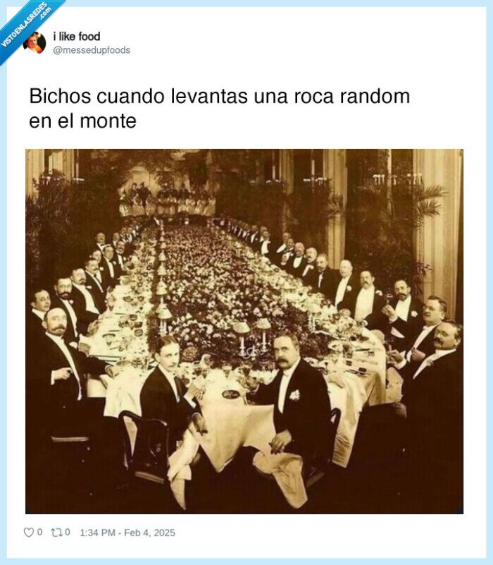 bichos,mansalva,roca,debajo
