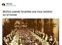 Enlace a Salen a lo loco, por @messedupfoods