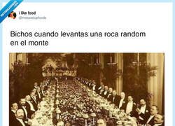 Enlace a Salen a lo loco, por @messedupfoods