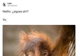 Enlace a Yo cada noche, por @LukaBanjah