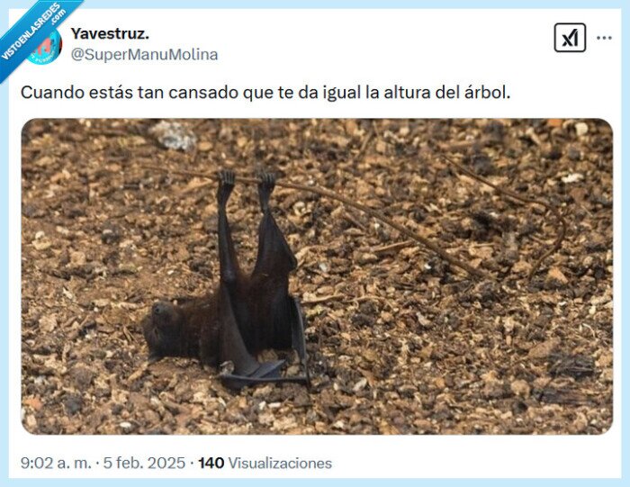 árbol,altura,cansado