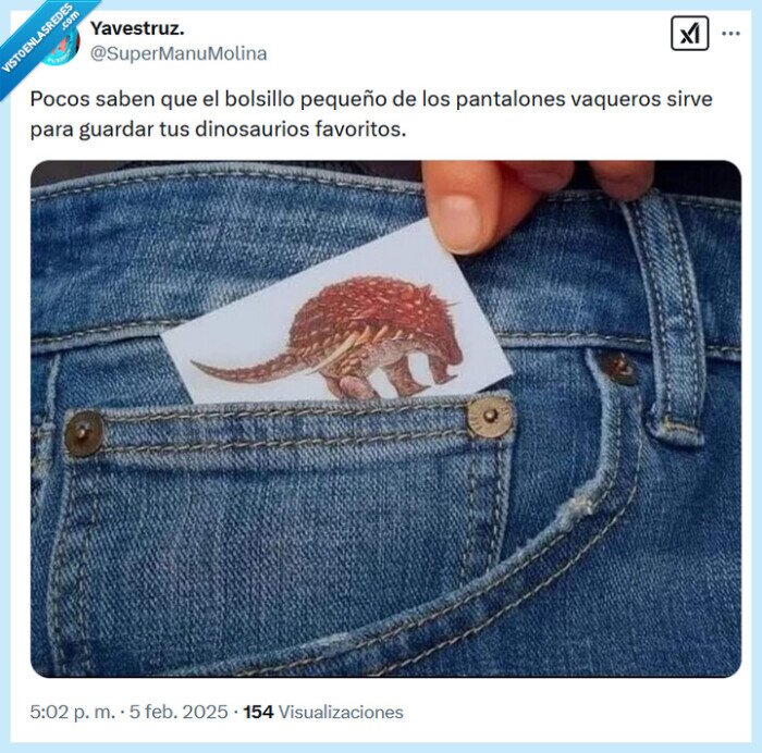 bolsillo,dinosaurios