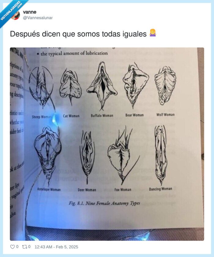 mujeres,vagina,distinta