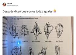 Enlace a Yo veo grandes diferencias, por @Vannesalunar