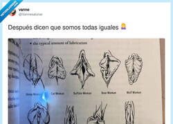 Enlace a Yo veo grandes diferencias, por @Vannesalunar
