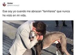 Enlace a Soltadme ya por favor, por @A4815162342Z