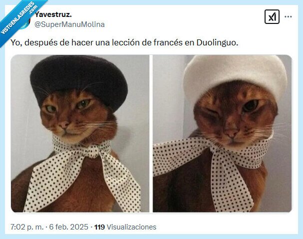 francés,duolinguo,lección