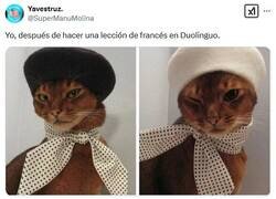 Enlace a Meoui, cherche por @supermanumolina