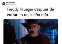 Enlace a Hasta Freddy flipa, por @ymuchosmemes