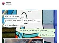 Enlace a Salió guay la fiesta al final, por @cornulda