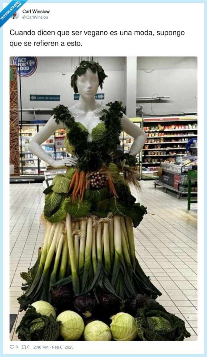 vegano,dicen,verduras,vestido