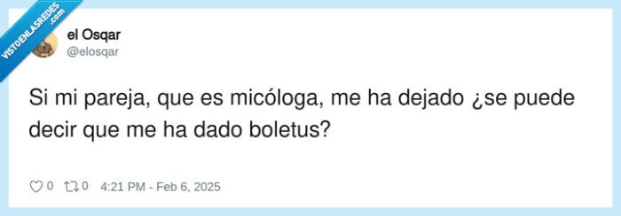 mic&oacute;loga,pareja,boletus