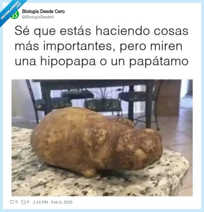 patata,hipopótamo,forma