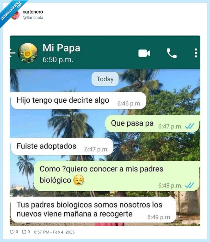 whatsapp,conversacion,papa,adoptar