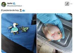 Enlace a Espero que sea leve, por @Le_Guizameaux