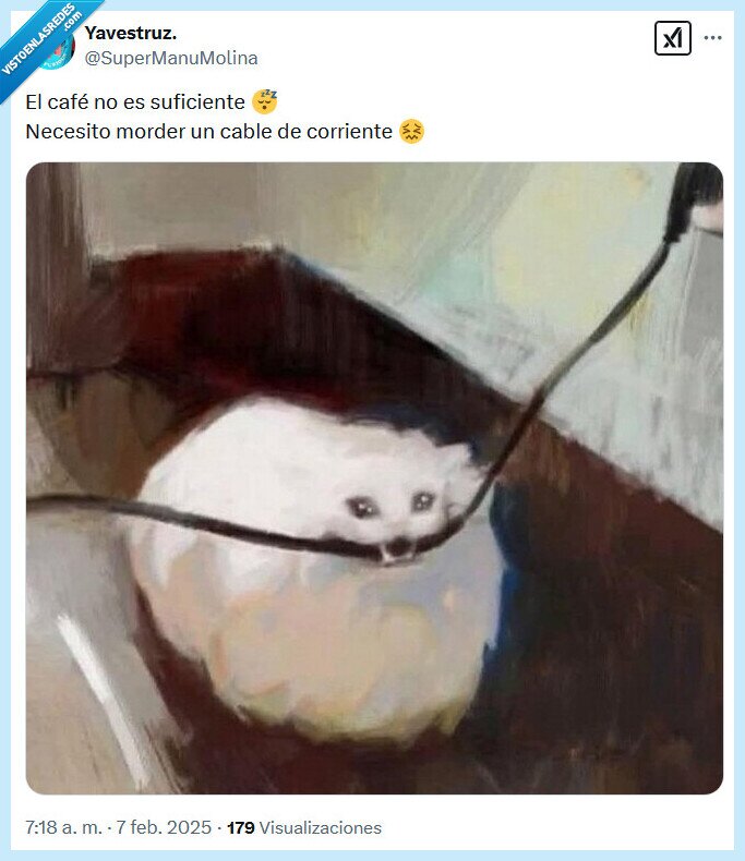 cable,corriente,morder,café