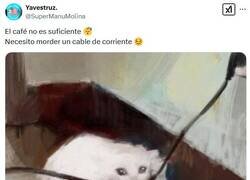 Enlace a Empieza el día con energía por @supermanumolina