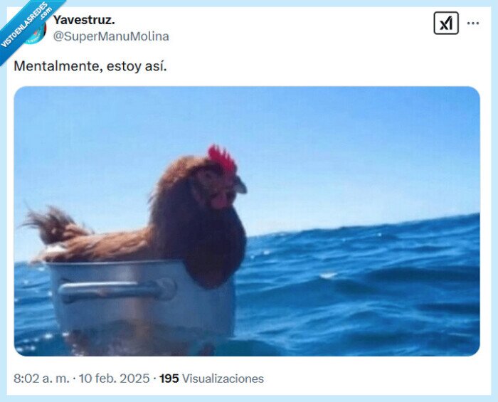 gallina,océano,mentalmente