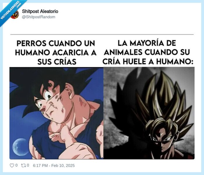 cr&iacute;as,perros,animales,goku