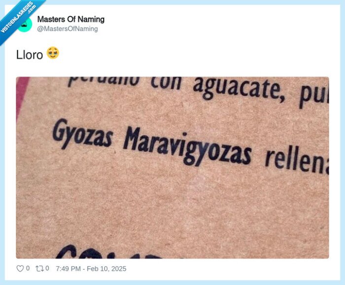1690282 - Gyozas maravigyozas, por @MastersOfNaming