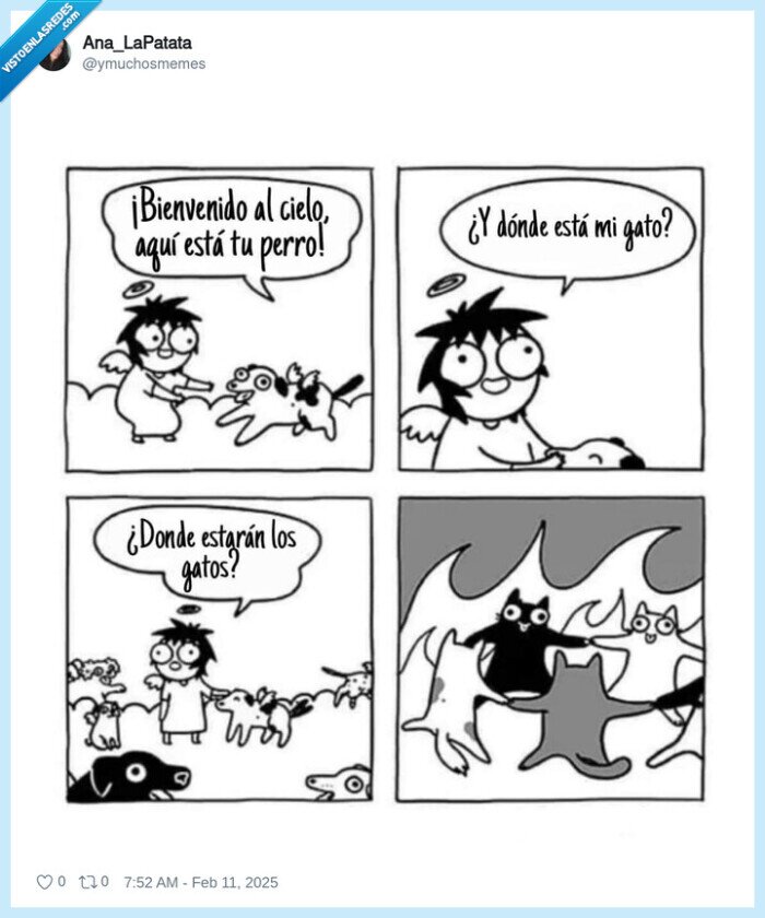 gatos,infierno,perros