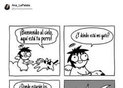 Enlace a Los gatos siempre van al infierno, eso lo sabemos todos, por @ymuchosmemes