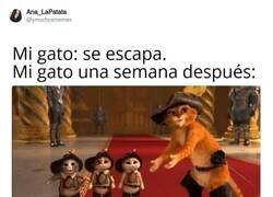 Enlace a Menudo golfo, por @ymuchosmemes