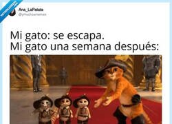 Enlace a Menudo golfo, por @ymuchosmemes