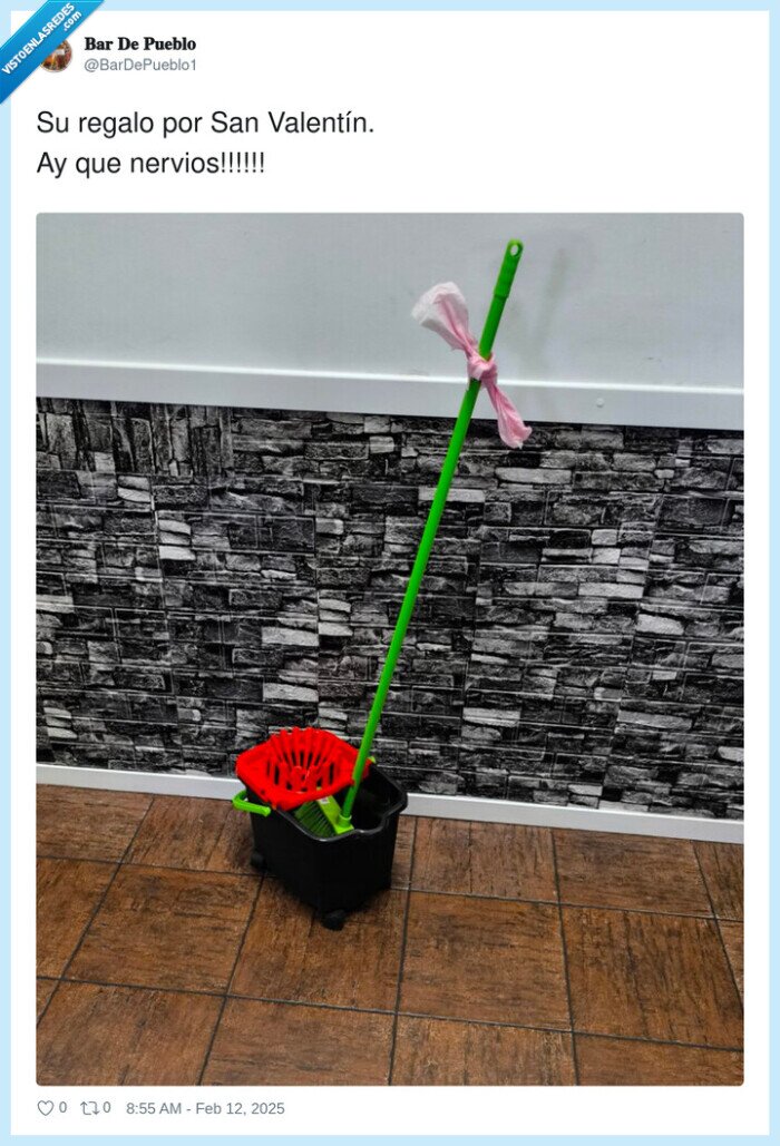 san valentín,nervios,regalo,fregona