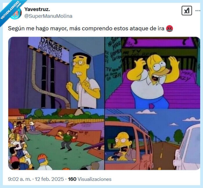 ira,los simpson,ataque,mayor