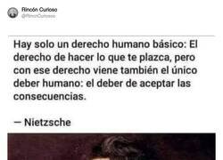 Enlace a Un solo derecho humano básico, por @RincnCuriosoo