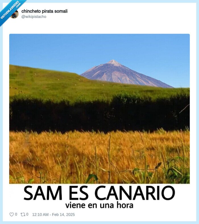 sam va lentin,memes,sam,san valentin,canario