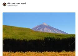 Enlace a Ya va siendo hora, por @wikipistacho