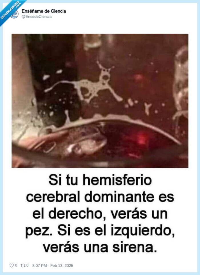 hemisferio cerebral,derecho,izquierdo,sirena,pez