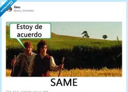 Enlace a SAME, por @xexu_fernandez