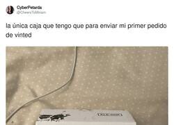 Enlace a El troll de vinted, por @CheersToMiriam