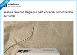 Enlace a El troll de vinted, por @CheersToMiriam