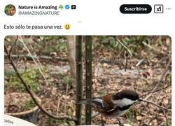 Enlace a Cosas que pasan una vez en la vida, por @AMAZlNGNATURE