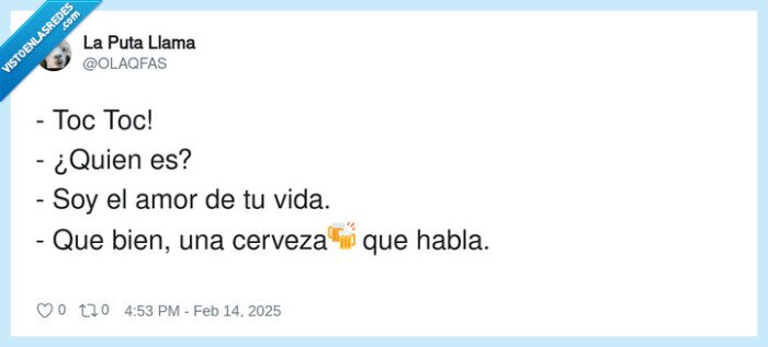 cerveza,hablar,amor,vida