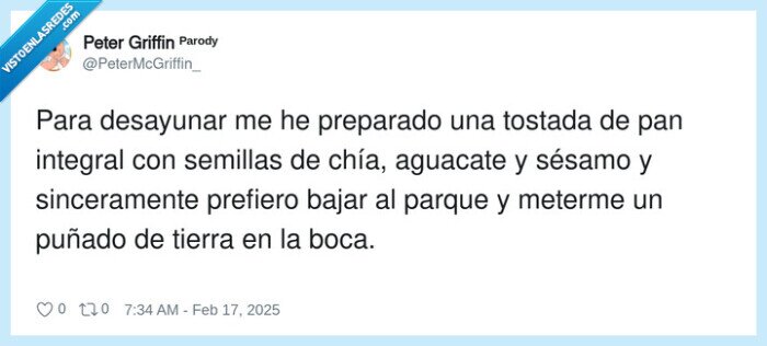 desayunar,aguacate,integral,semillas