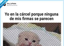 Enlace a Vivo con ese miedo constantemente, por @ymuchosmemes