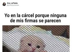 Enlace a Vivo con ese miedo constantemente, por @ymuchosmemes