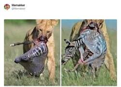 Enlace a ¿La debía llevar de casa o pagó 5 céntimos? por @Memakker