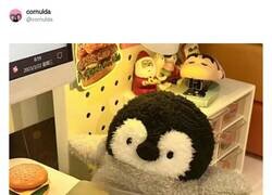 Enlace a Se aceptan tips, por @cornulda