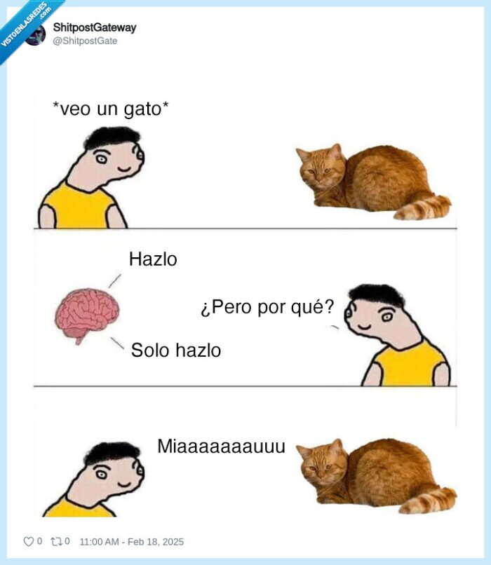 gato,miau,imitar