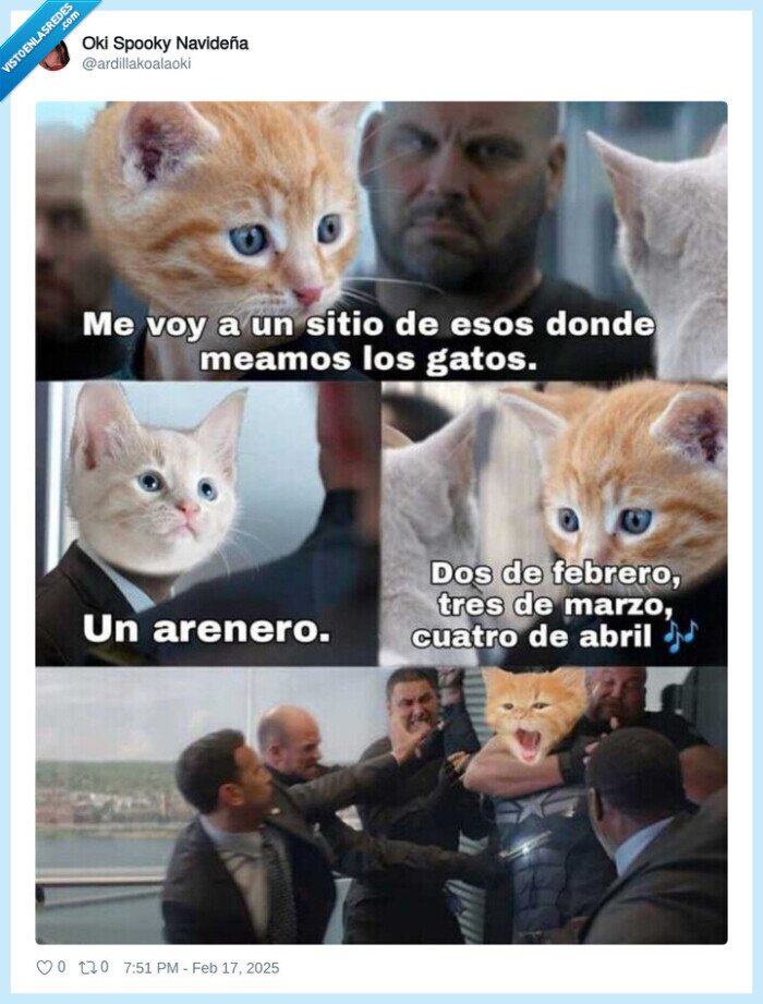 humor,gato,capitan america,arenero