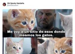 Enlace a Mi tipo de humor, por @ardillakoalaoki