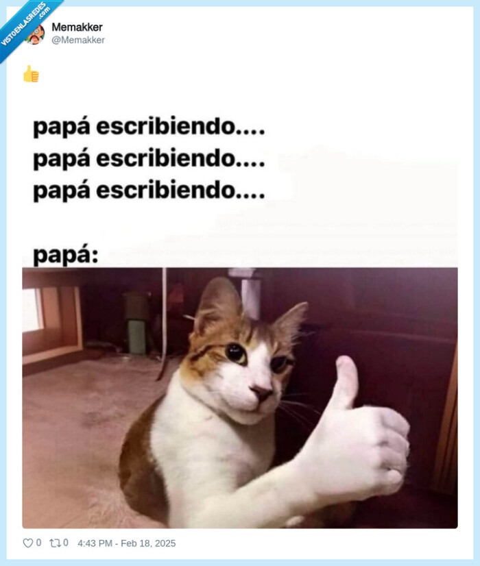gato,ok,padres,escribiendo,whatsapp