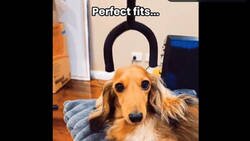 Enlace a A alguien con TOC le hará feliz ver estas imágenes