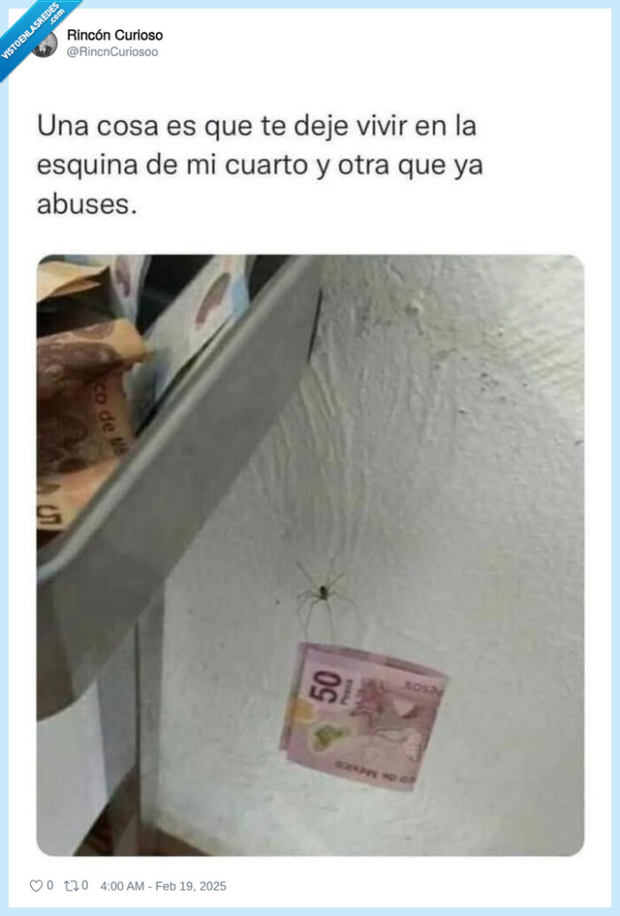 araña,robar,billete